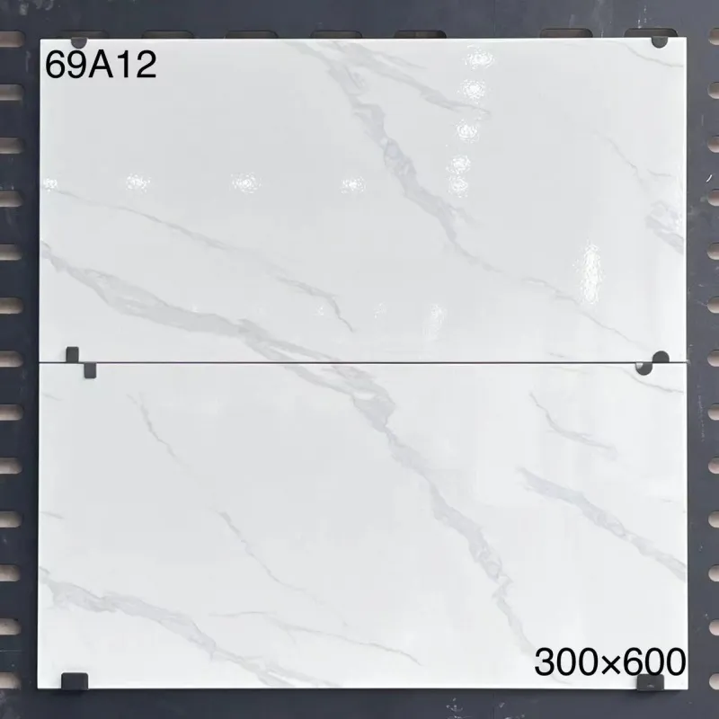 XM-69A12 300 x 600 mm glossy finish 300*600