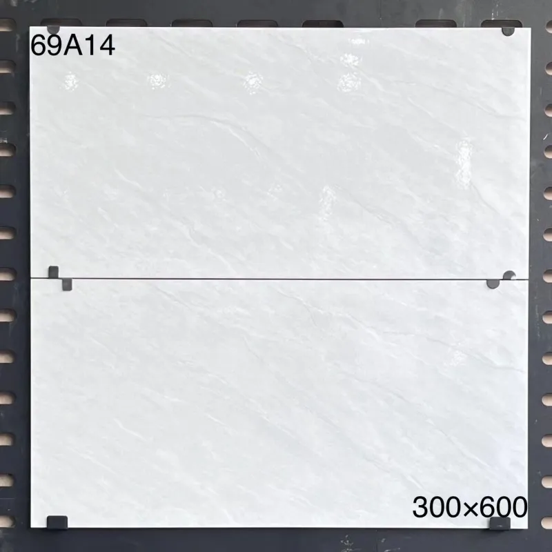 XM-69A14 300 x 600 mm glossy finish 300*600