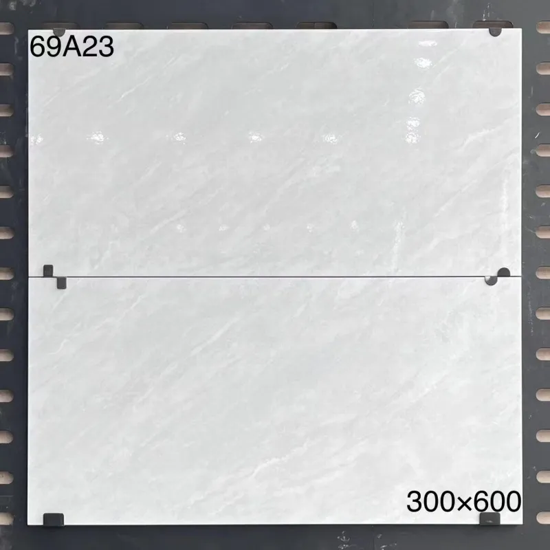 XM-69A23 300 x 600 mm glossy finish 300*600