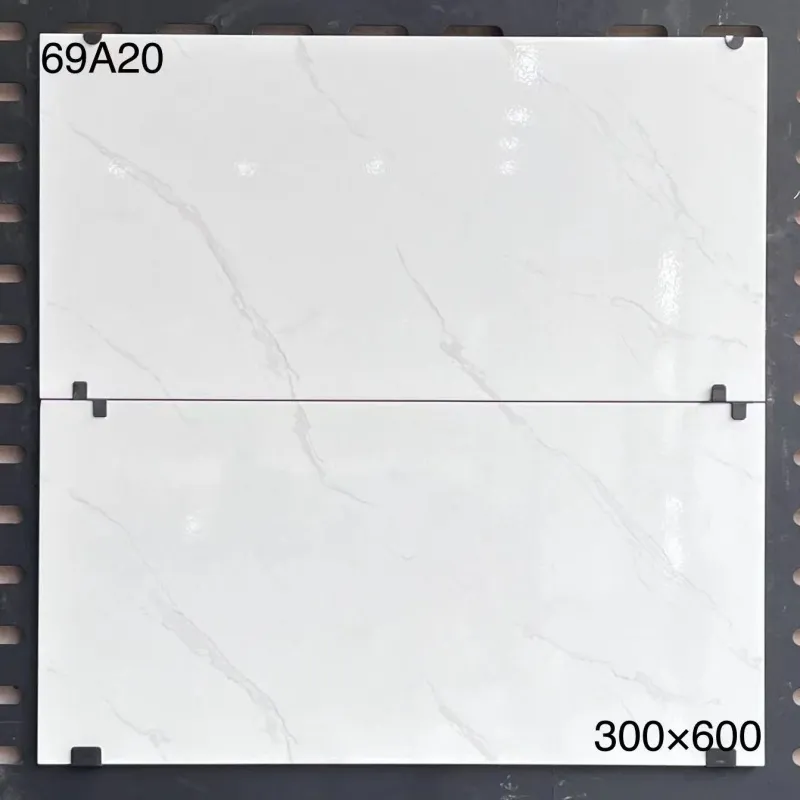 XM-69A20 300 x 600 mm glossy finish 300*600