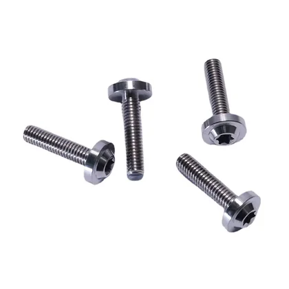 Titanium Saucer Head Screws