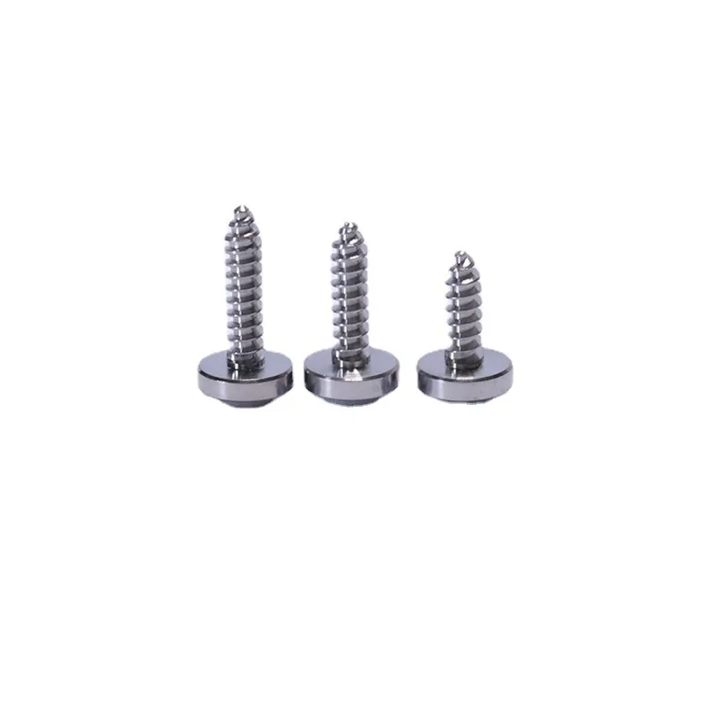 Titanium Self Tapping Screws in Grade 5 titanium