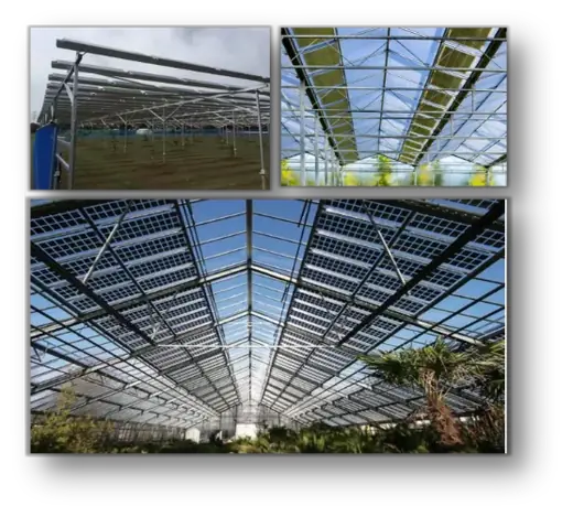 PV modules mounted across a greenhouse roof structure
