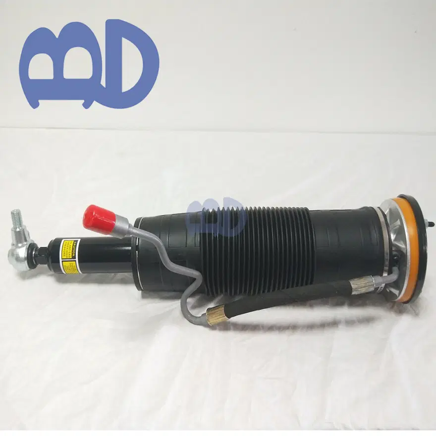 Mercedes-Benz S-Class W221 S350 S450 ABC Air SuspensionShock 2213202313 2213202413 2005/10