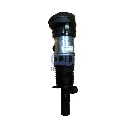 Front Left Air Suspension Shock for BMW X5 2019-2022 X6 2020-2022 37106869029 — view 2