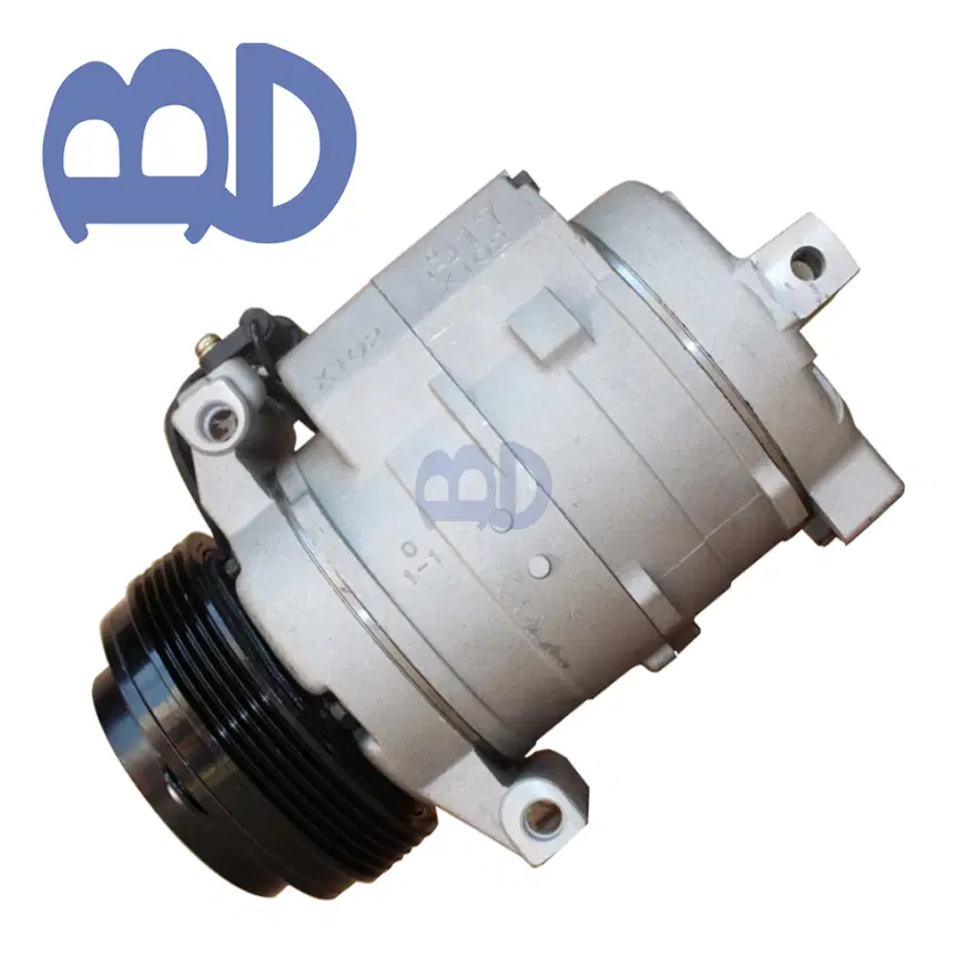BMW X5 / E53 / 10S17C Air Conditioning Compressor BHJ-60003