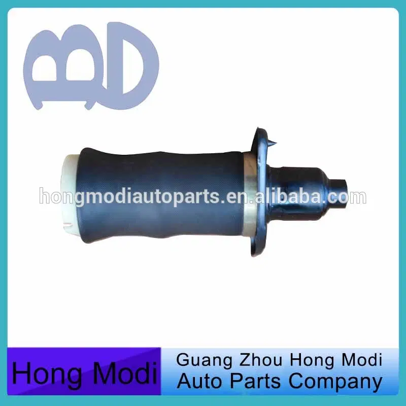 Audi A6 4B C5 Air SuspensionSpring 4Z7616051A 4Z7616052A 2000-2005 — view 4