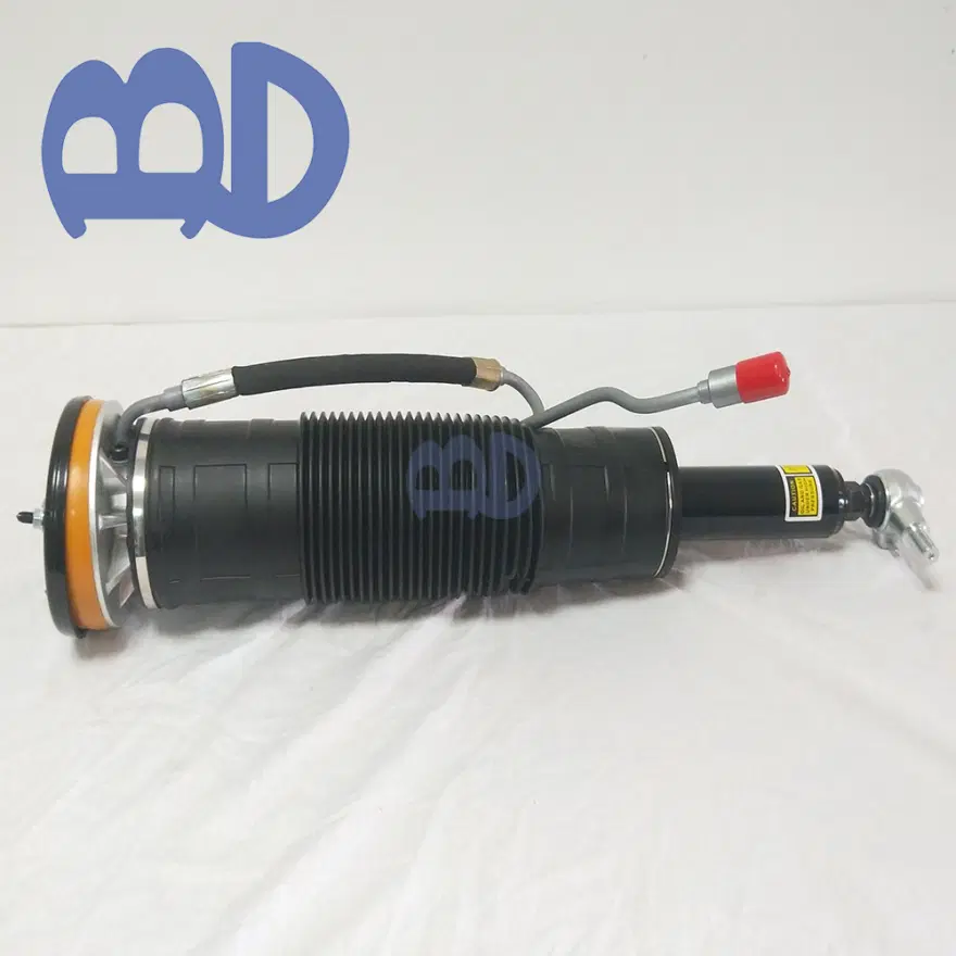 Mercedes-Benz S-Class W221 S350 S450 ABC Air SuspensionShock 2213202313 2213202413 2005/10 photograph 2