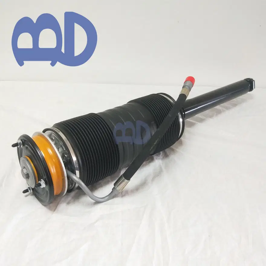 Mercedes-Benz S-Class W221 S350 S450 ABC Air SuspensionShock 2213200413 22132005 — view 4