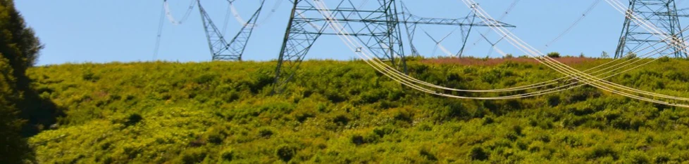 Overhead conductors running across open country on a distribution right of way