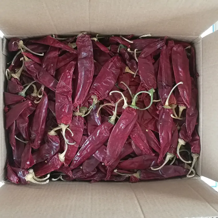 Guajillo Chile Chinese Jinta Chili, view 2