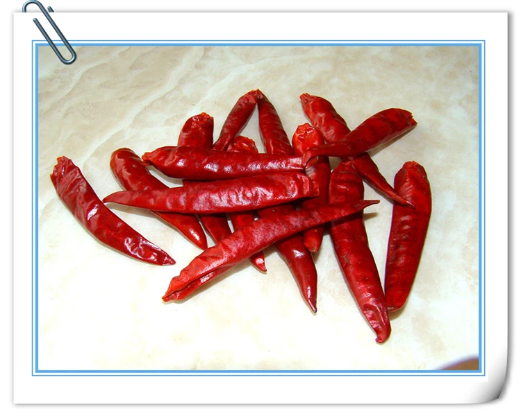 Jalapeno Chile Chaotian Chili, view 3