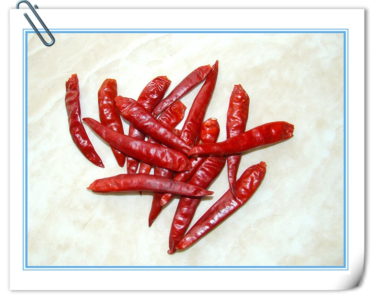 Jalapeno Chile Chaotian Chili, view 4