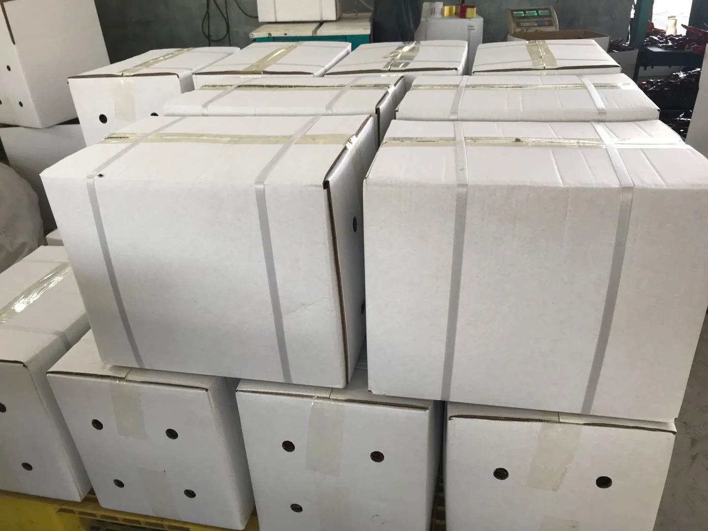 Bulk Export Packing and Logistics