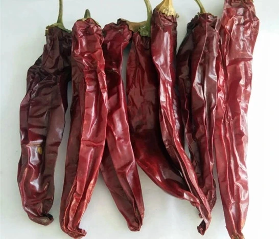 Sweet Paprika Pods, view 3