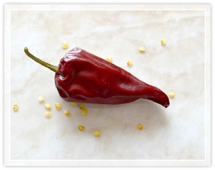 Puya Chili Beijing Red Pepper, view 2