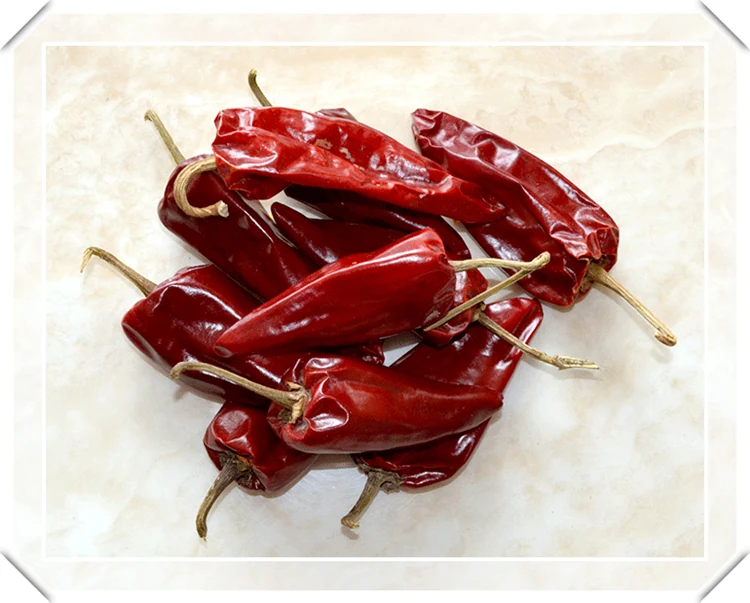Puya Chili Beijing Red Pepper, view 5