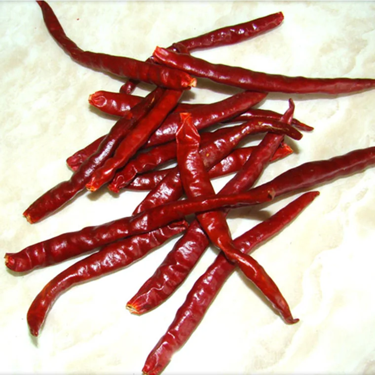 Yunnan Chili Cayenne, view 2