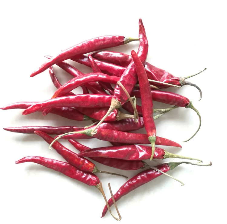 Yunnan Chili Cayenne, view 3