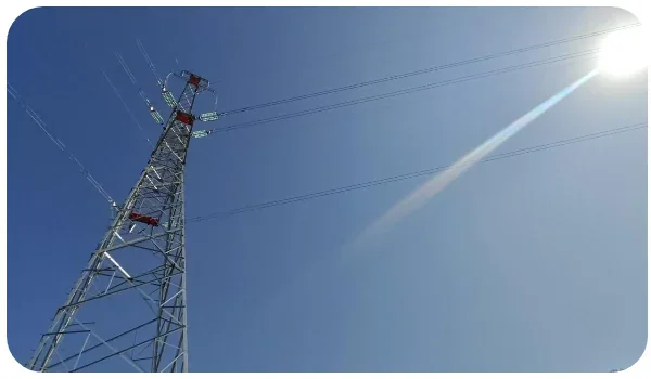 Transmission line insulator strings of the type supplied to the Algerian grid project