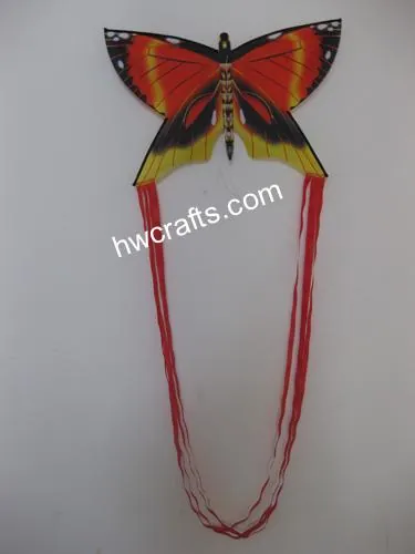 Butterfly Kite CXFZ0024
