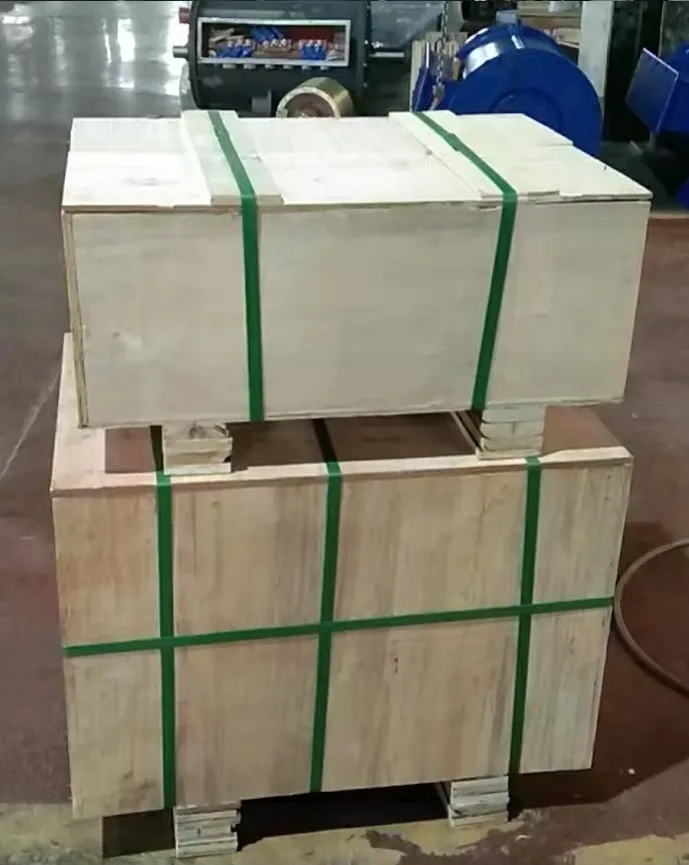 Marine Brake Motor Marine Winch Motor Three-Phase Marine Induction Motor