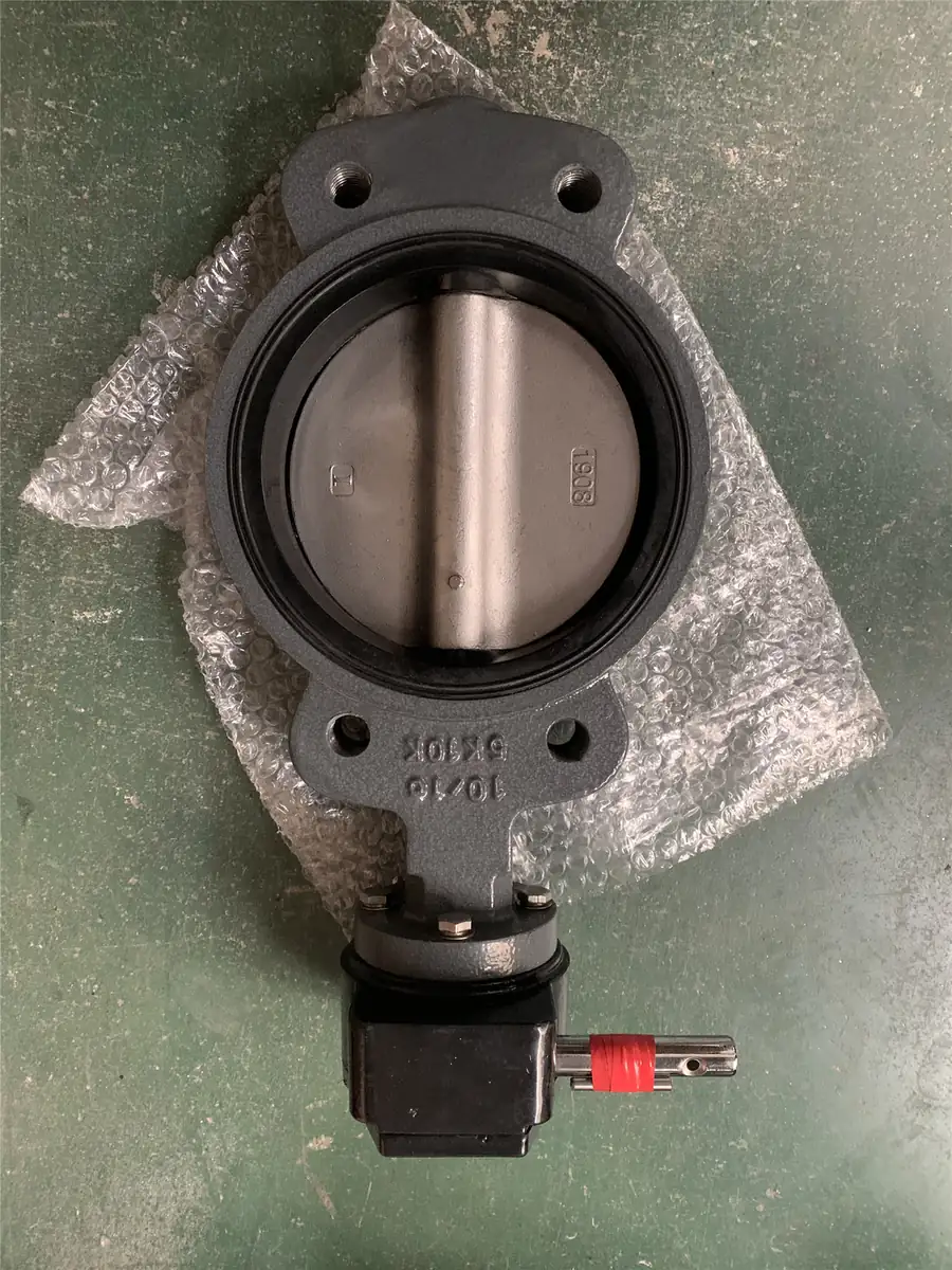 Marine Bronze/Steel/Copper Screw/Auger type Butterfly Valve for Ship/Vessel/Boat