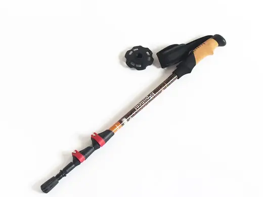 The Importance of Trekking Poles on a Hike