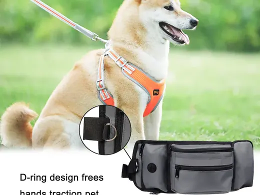 Pet Treat Waist Bag for Dog Training Walking