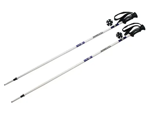 How to Choose the Best Ski Pole?