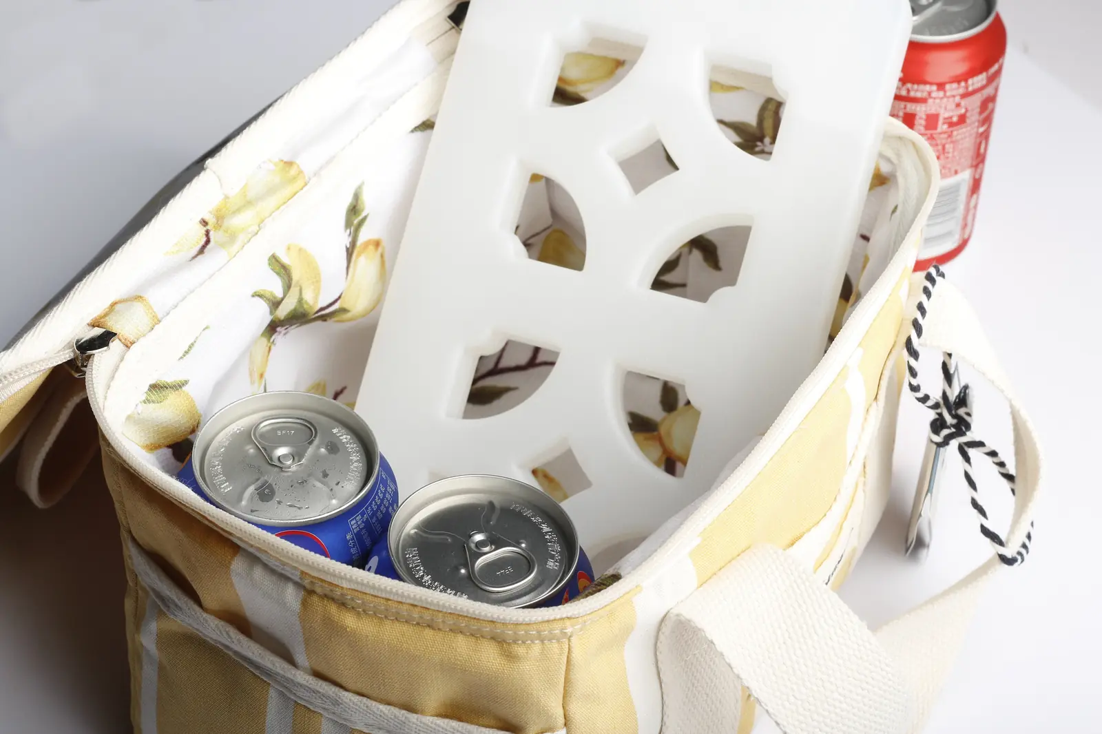 Wholesale Outdoor Cute Mini Lunch Canvas Camping Cooler Bag for Picnic detail view 6