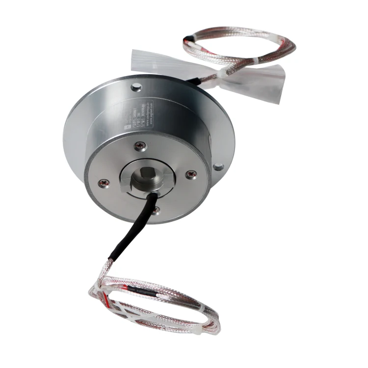 DHS060-2 Ingiant capsulated automation slip rings outer diameter 60mm 2channels — capsulated slip rings manufactured by INGIANT