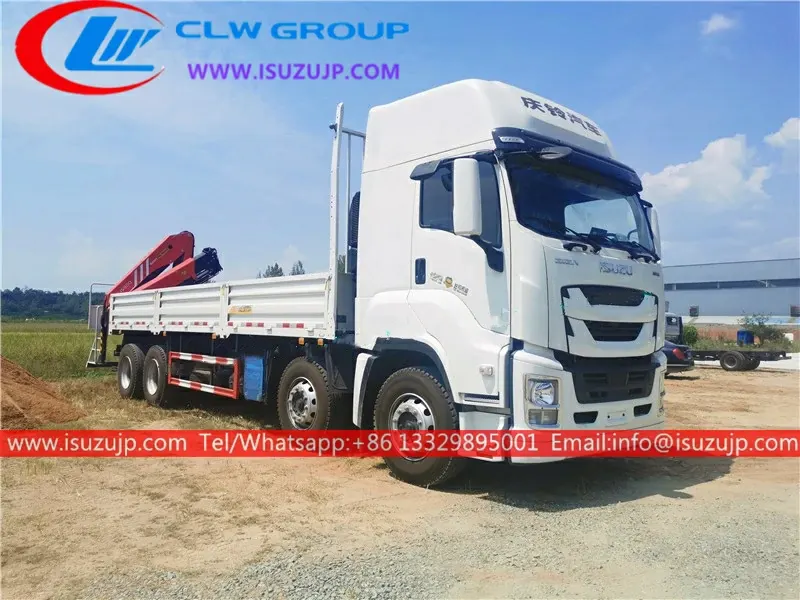 12 wheel ISUZU GIGA palfinger knuckle crane lorry for sale