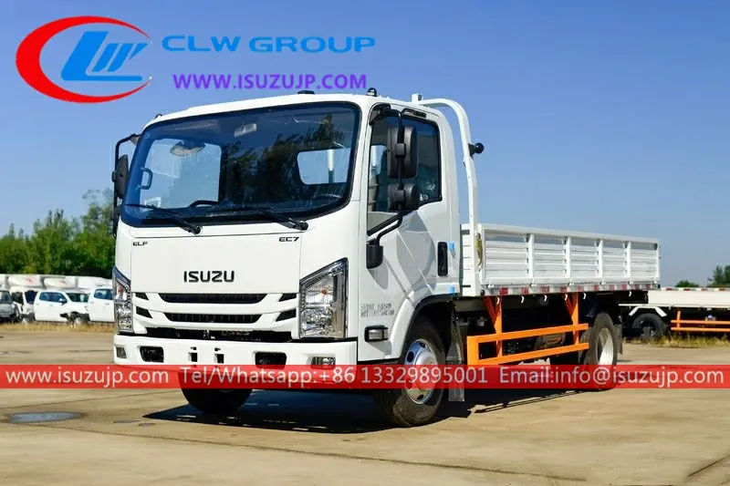 Isuzu EC5 3ton goods carrier truck