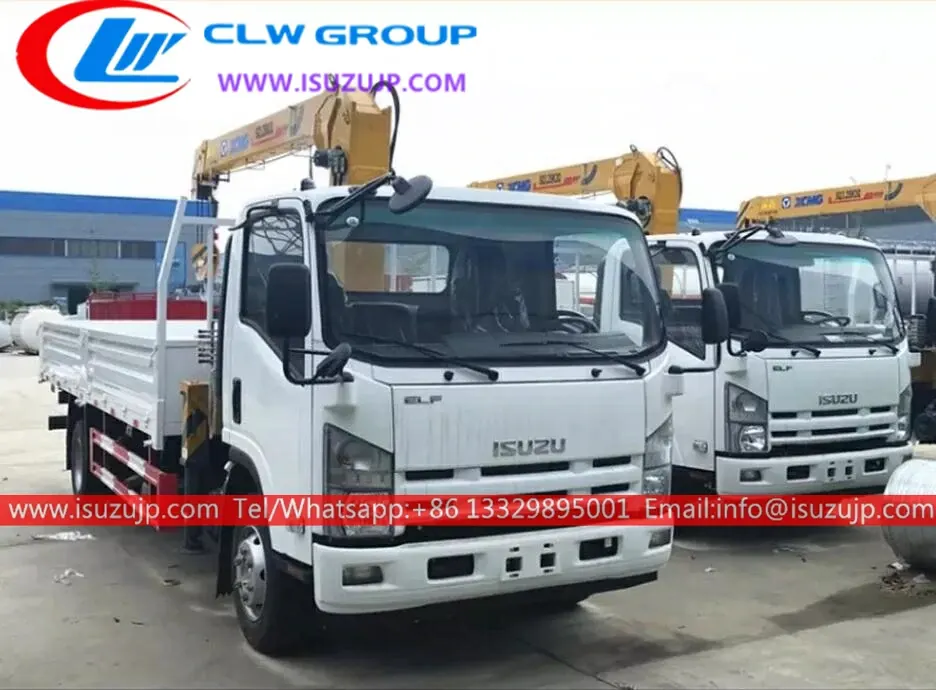 ISUZU ELF Double cabin 3000kg mini truck crane