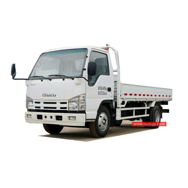 ISUZU NHR 3 ton cargo trucks for sale Philippines