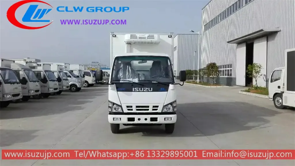 ISUZU 600P vaccine cold chain delivery vehicle
