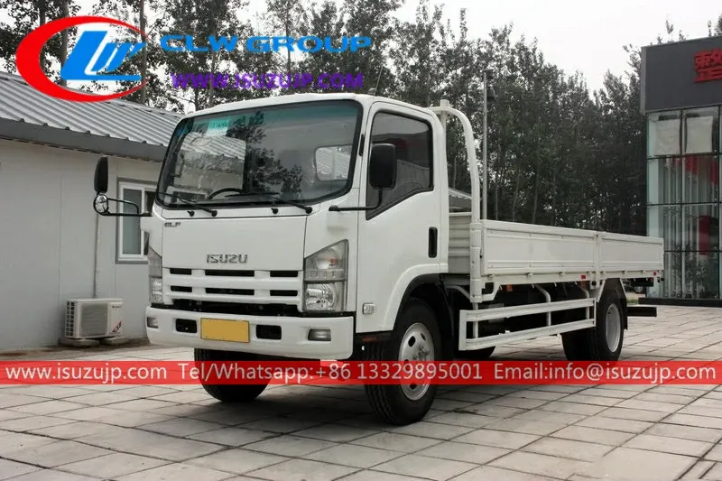 ISUZU NPR 8 ton freight truck for sale