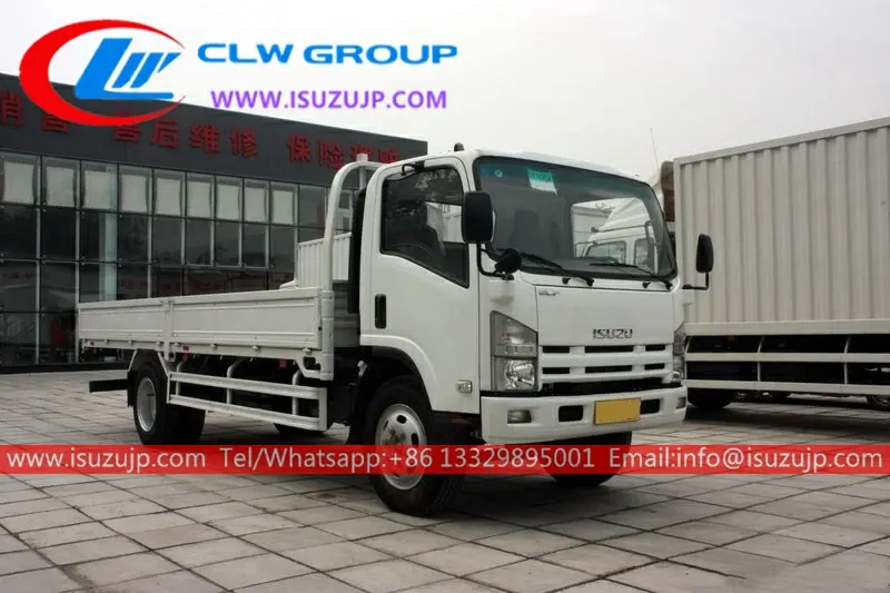 ISUZU NPR 8 ton freight truck for sale