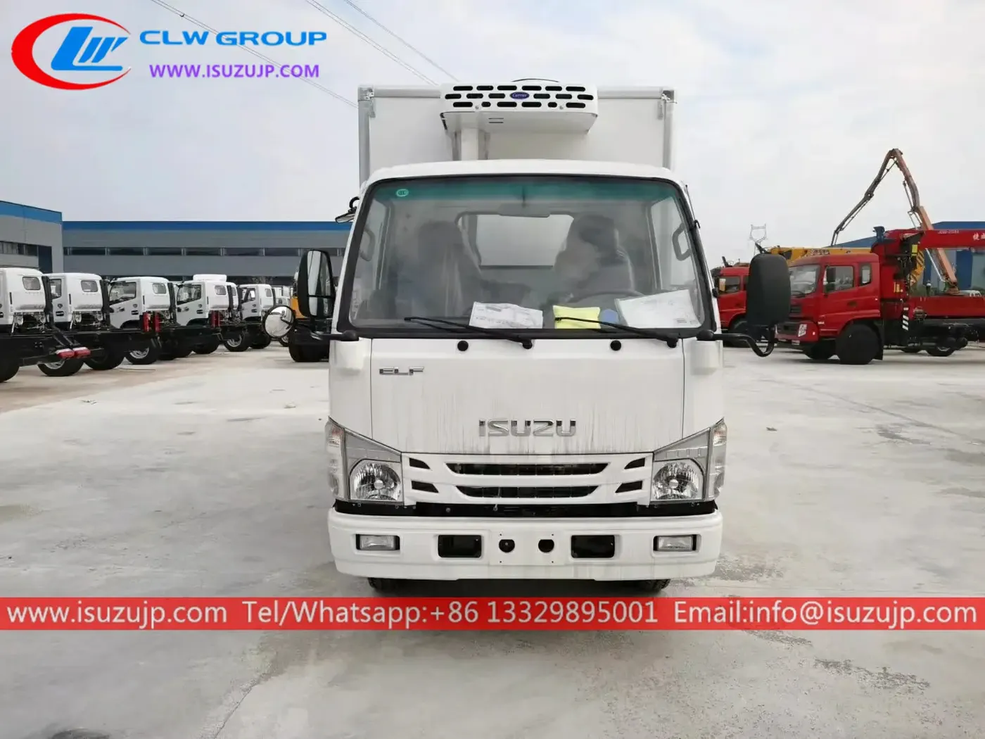 ISUZU M100 3000kg freezer food transport truck