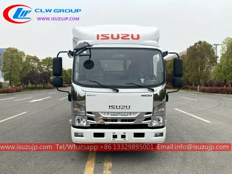 ISUZU M100 3000kg freezer food transport truck