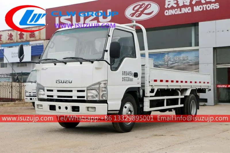ISUZU NHR 3 ton cargo trucks for sale Philippines