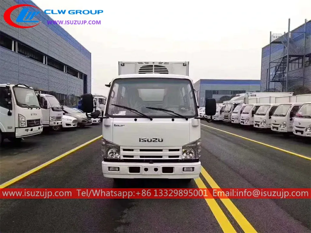 ISUZU Double cabin 3t small refrigerated trucks