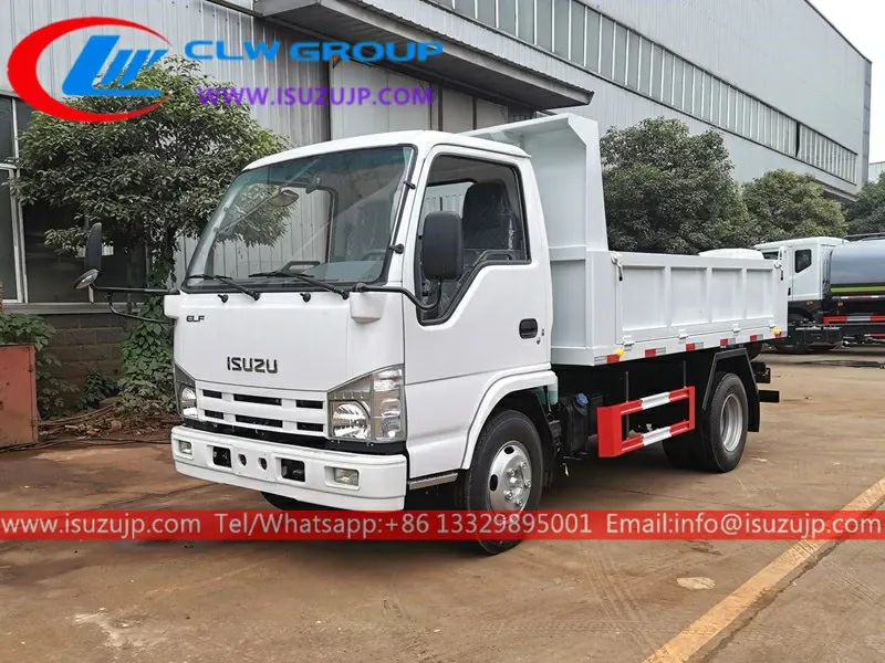 Isuzu NHR 3cbm construction dump truck