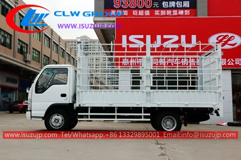 Isuzu NJR 12ft stake body truck