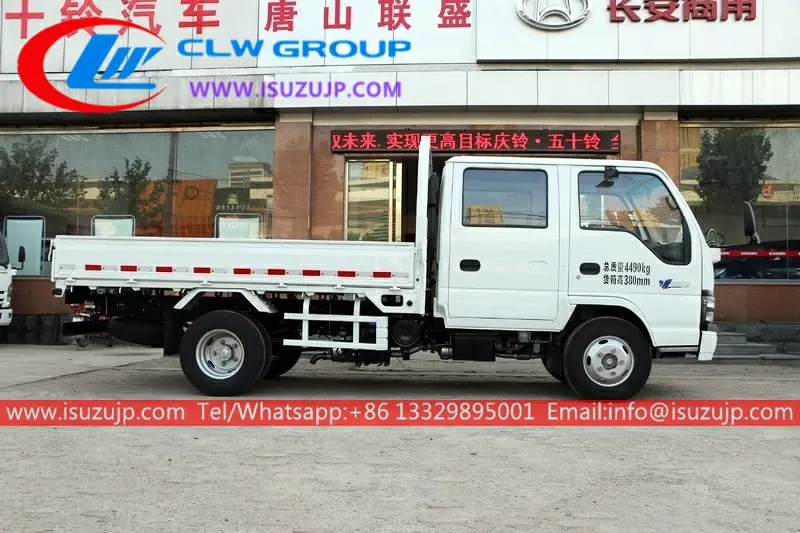 ISUZU NKR 5 ton cargo truck