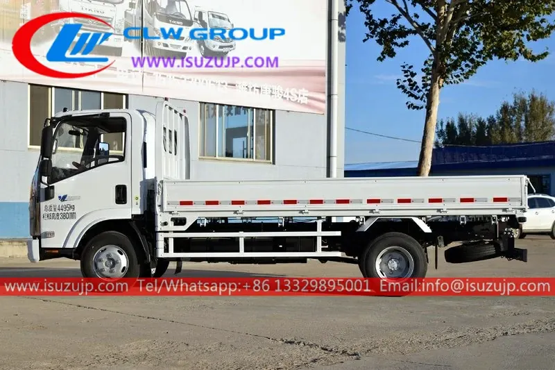 Japan Isuzu M100 5t lorry truck