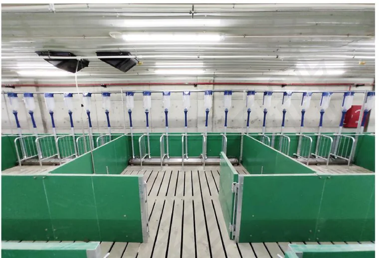 Farrowing Rooms equipped by JGM Industrial