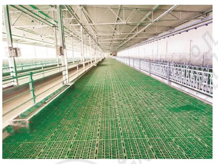 Gestation and Sow Housing equipped by JGM Industrial