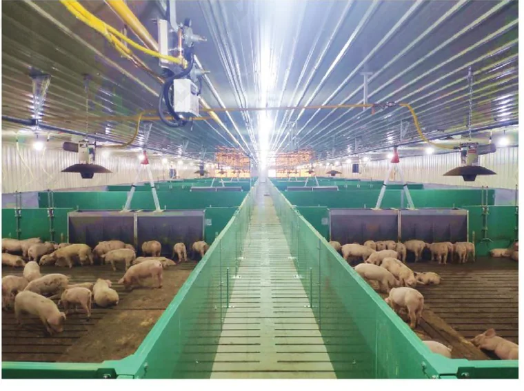 Nursery and Weaner Rooms equipped by JGM Industrial
